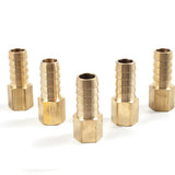 LTWFITTING Brass Fitting Coupler 1/2-Inch Hose ID x 1/4-Inch Female NPT Fuel Water Gas(Pack of 5)