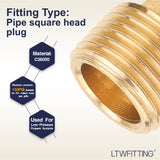 LTWFITTING Brass Pipe Square Head Plug Fittings 1/2 Inch Male NPT Air Fuel Water Boat(Pack of 300)