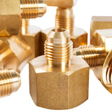 LTWFITTING Brass Flare 5/16 Inch OD x 1/2 Inch Female NPT Female Connector Tube Fitting(Pack of 300)