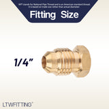 LTWFITTING Brass Flare 1/4 Inch OD Plug, Brass Flare Tube Fitting(Pack of 50)