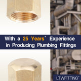 LTWFITTING 3/8-Inch Brass Compression Cap Stop Valve Cap,Brass Compression Fitting(Pack of 60)