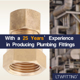 LTWFITTING Brass 3/8-Inch OD x 3/8-Inch Female NPT Compression Connector Fitting(Pack of 5)