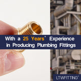 LTWFITTING Brass 5/16-Inch OD x 1/4-Inch Male NPT Compression Connector Fitting(Pack of 300)