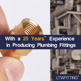 LTWFITTING Brass Pipe Fitting Coupling Coupler 1/8 x 1/8 Inch Female NPT FNPT FPT Pipe Water Boat(Pack of 50)