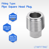 LTWFITTING Stainless Steel 316 Pipe Square Head Plug Fittings 3/8-Inch Male NPT Air Fuel Water Boat(Pack of 10)