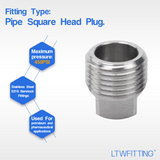 LTWFITTING Stainless Steel 316 Pipe Square Head Plug Fittings 1/2-Inch Male NPT Air Fuel Water Boat(Pack of 200)