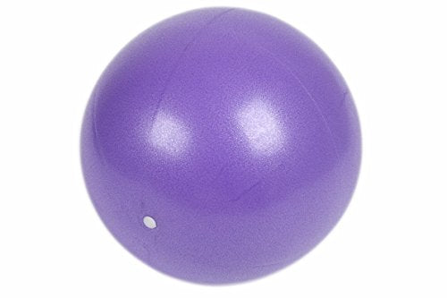 Pilates Yoga 9 Inch Purple Ball Fitness Over Ball Bender (Pack of 2)