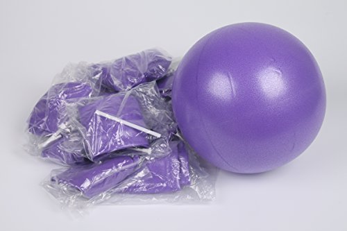 Pilates Yoga 9 Inch Purple Ball Fitness Over Ball Bender (Pack of 50)