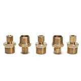 LTWFITTING Brass 1/4-Inch OD x 1/2-Inch Male NPT Compression Connector Fitting(Pack of 5)
